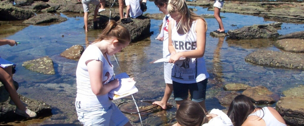 Teaching Resources Image, with students surveying a rock pool