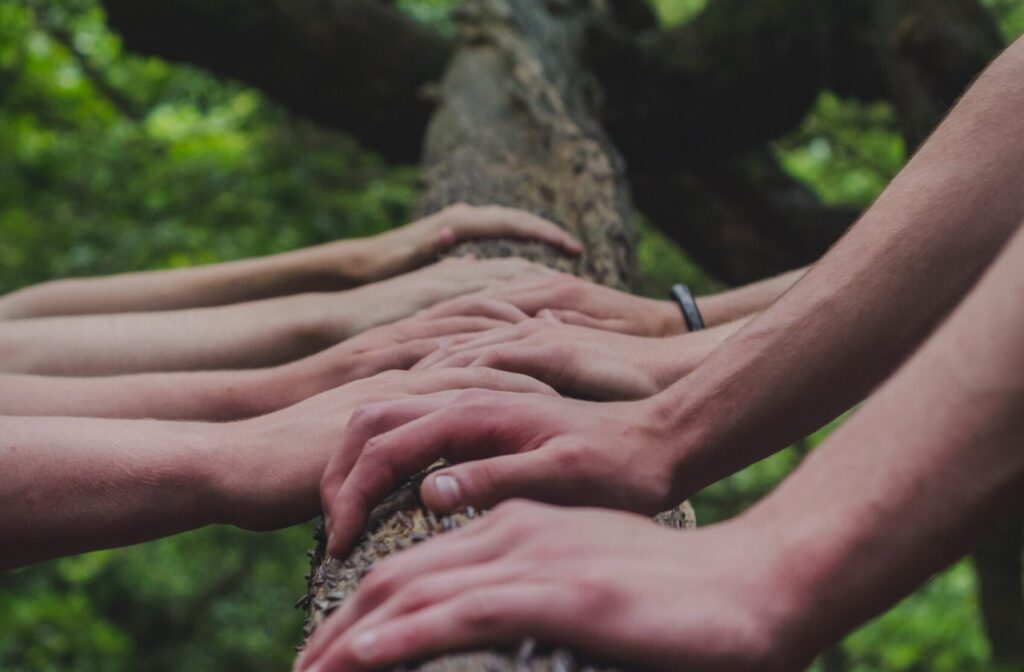 group of hands collecting energy from tree