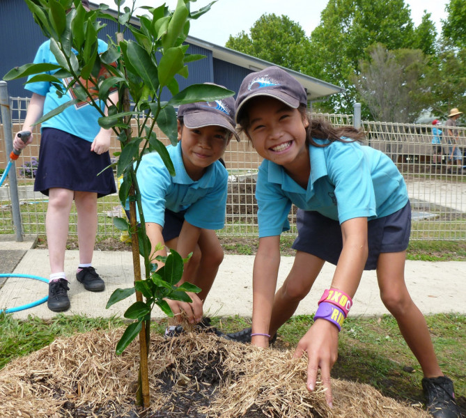 Students plant trees to increase shade and biodiversity take me outside