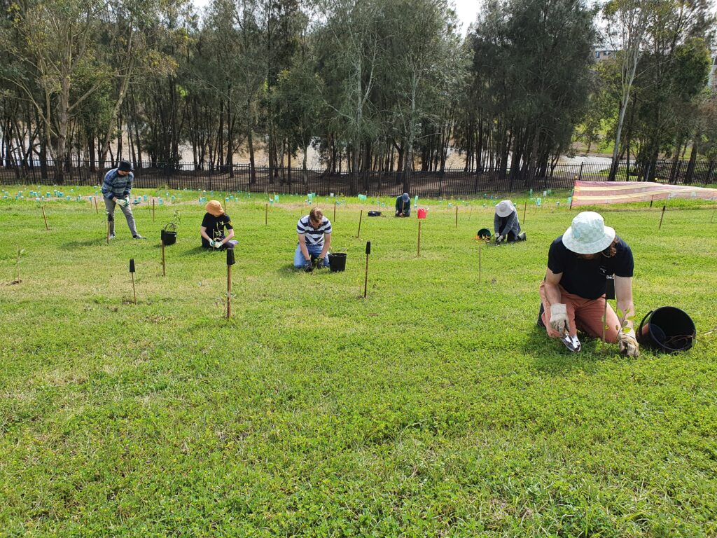 Tree planting activity at a school