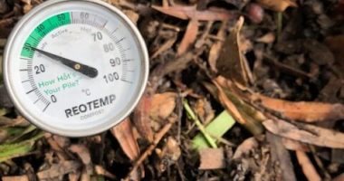 compost thermometer