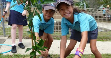 Students plant trees to increase shade and biodiversity take me outside