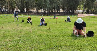 Tree planting activity at a school